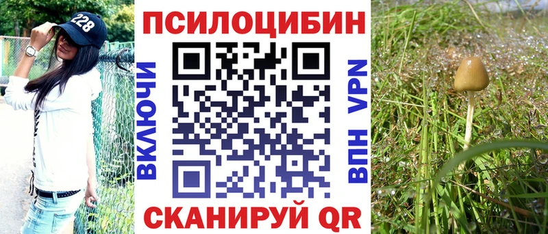 Купить где  Зеленодольск  Галлюциногенные грибы прущие грибы 