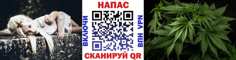 МАРИХУАНА тримм Зеленодольск