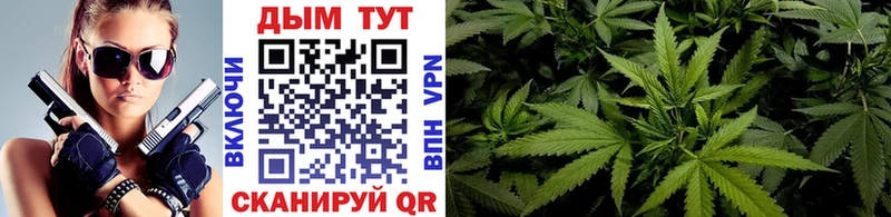 Купить  Зеленодольск  Конопля OG Kush 
